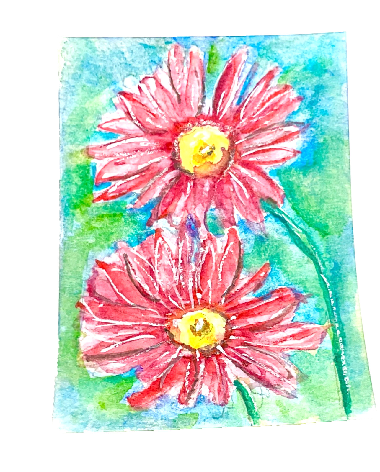 ACEO Original daisy pink flower ATC OOAK Cherie Donnell