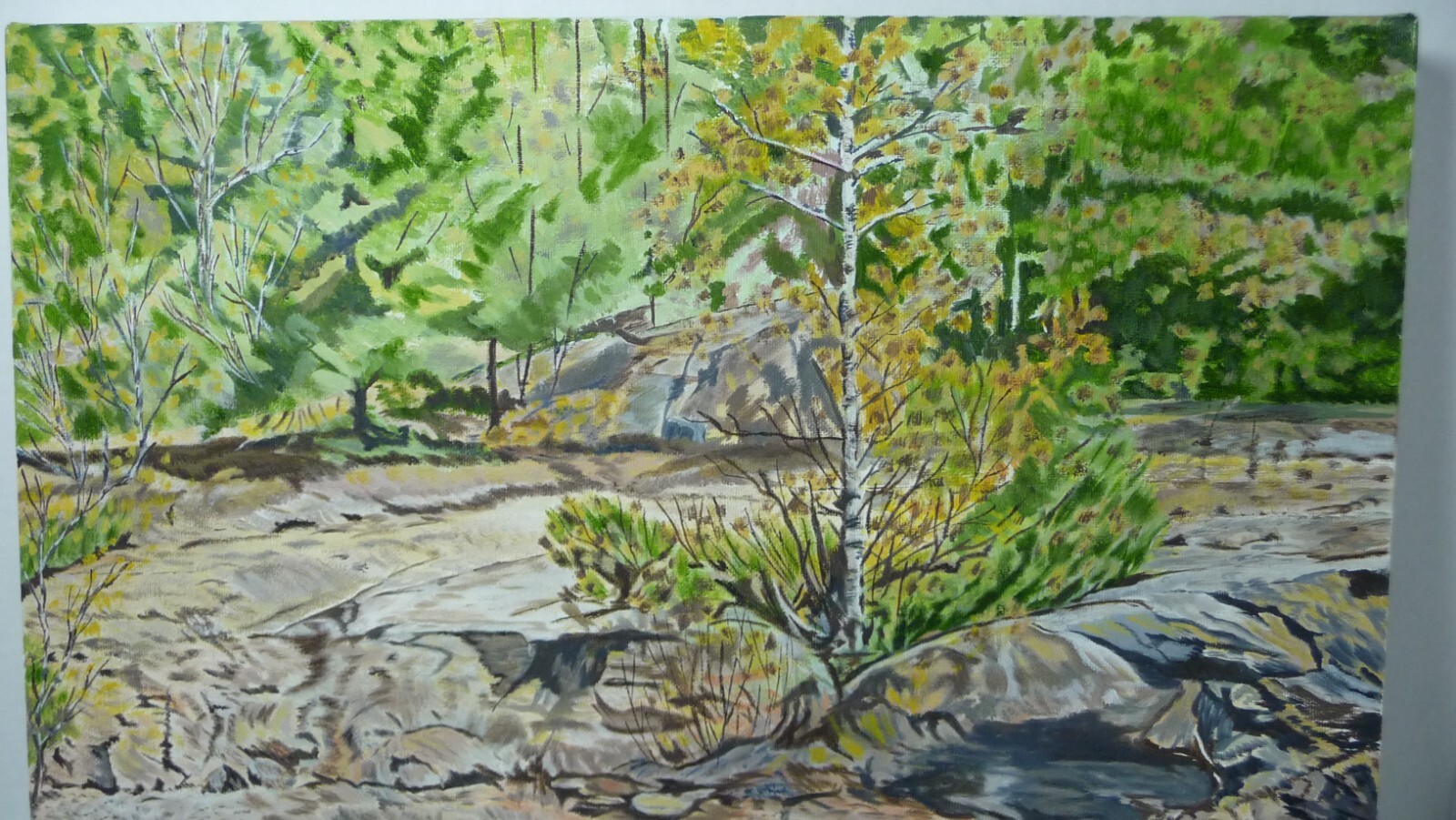 Oil Painting 16×12 Landscape By Catherine Johnston Wilderness 2000