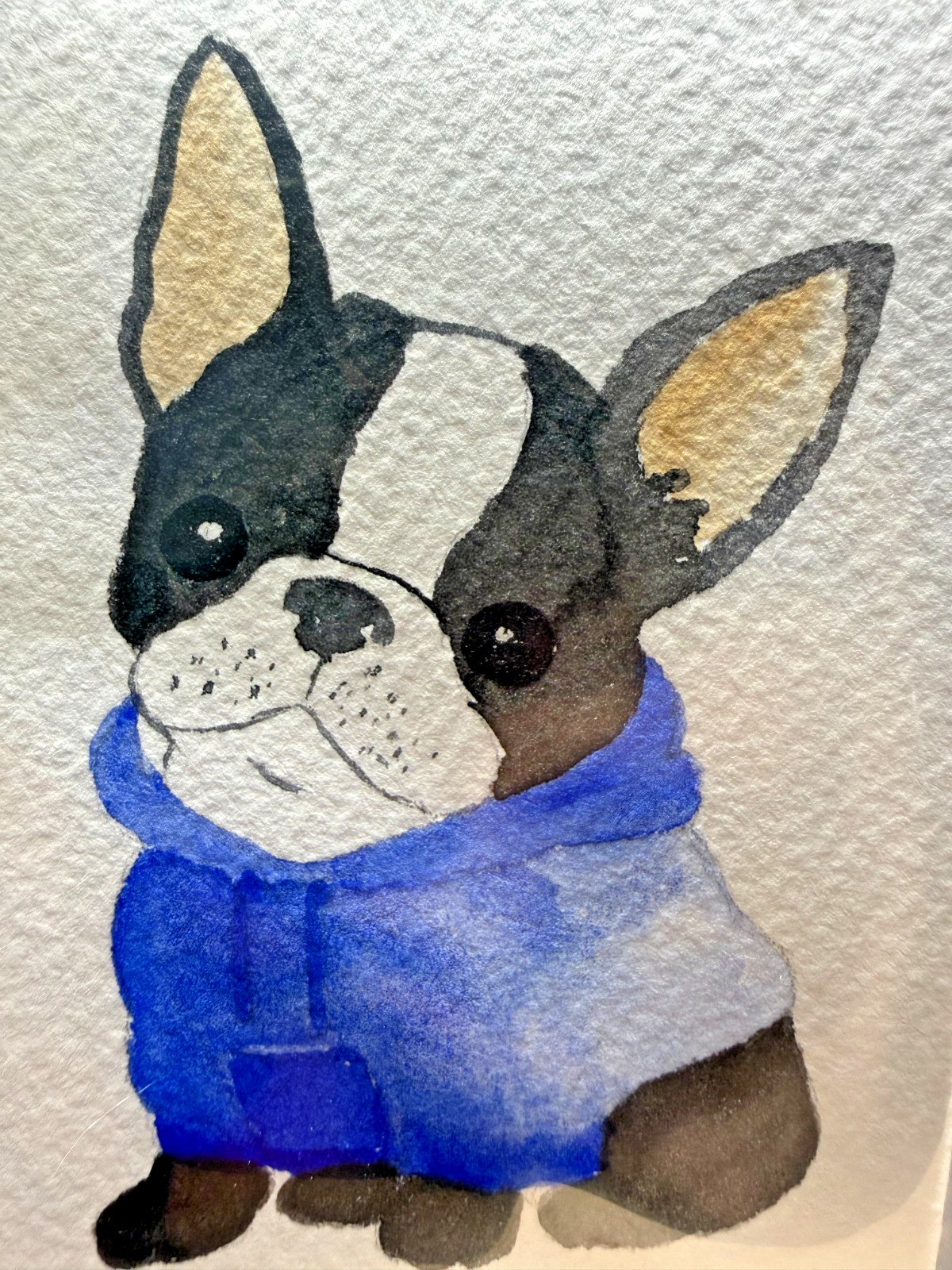 ACEO Original OOAK Signed (Not a Print) «Boston» terrier Dog in Hoodie Art Card