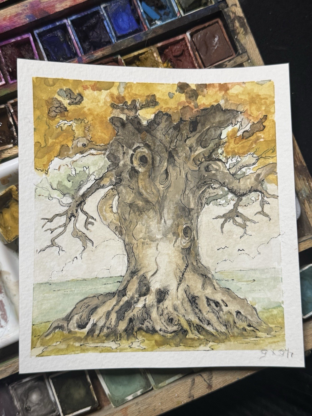Tree With Yellow Leaves By Water