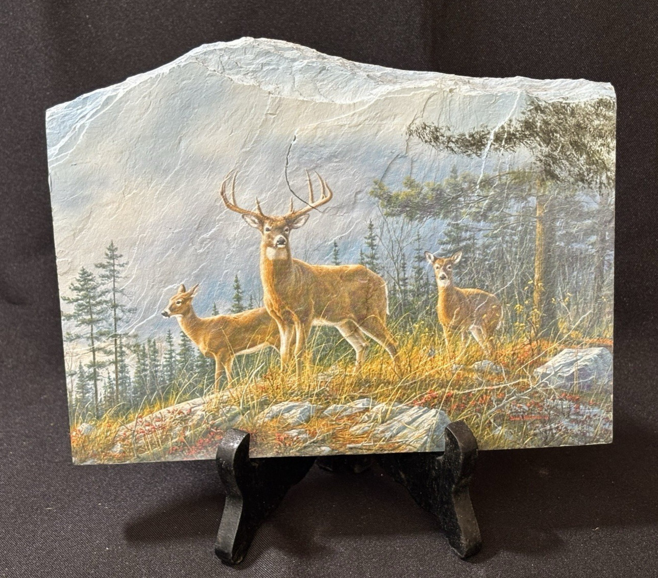 Whitetail Deer Painting on Slate Rock Trophy Rack Buck with Does Square One LLC