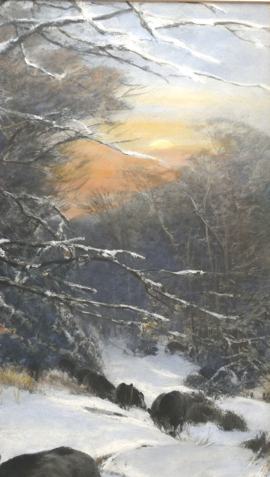 Christian Kröner Gouache – Paper «Wild Boar Rotto» 1893 Framed 53.5 x 37.5 cm