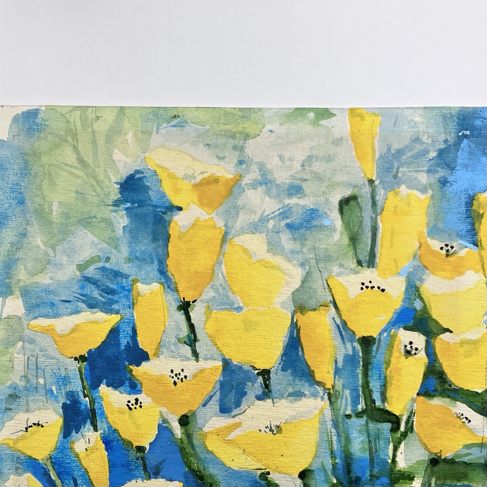 ORIGINAL WATERCOLOR of Yellow Poppies / DONNA McCAULEY? / 12×13 Inches / SIGNED