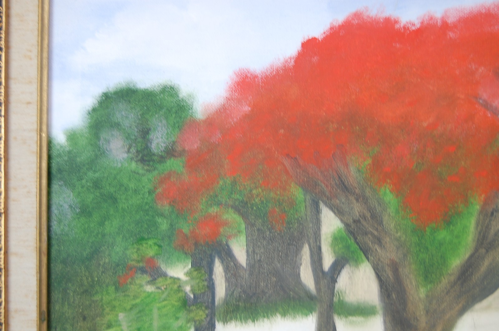 Vtg 80’s Framed Original Oil «Framboyan (Royal Poinciana) Tree Landscape» 20X16