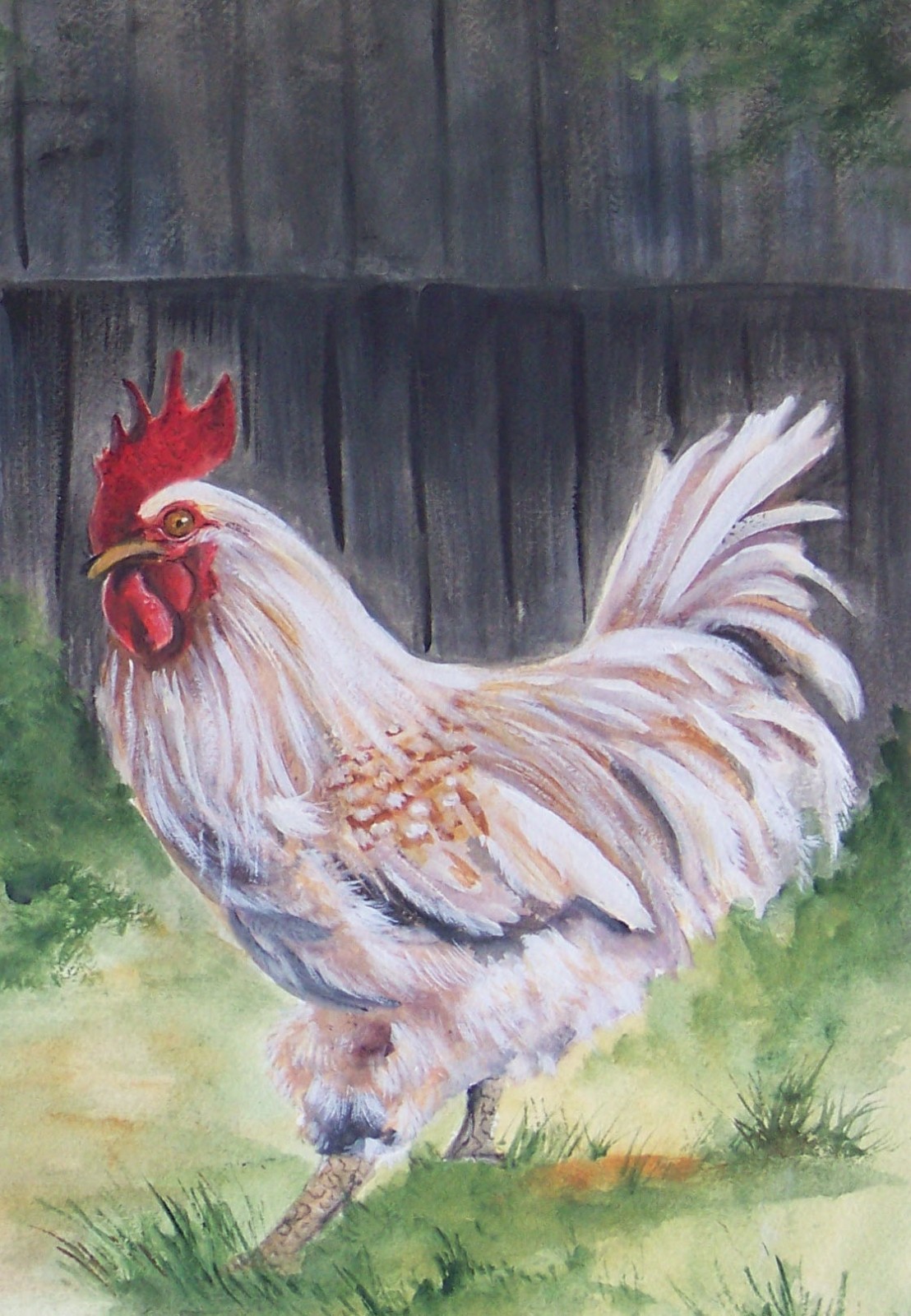 White Rooster 8 x 10 print on linen card stock