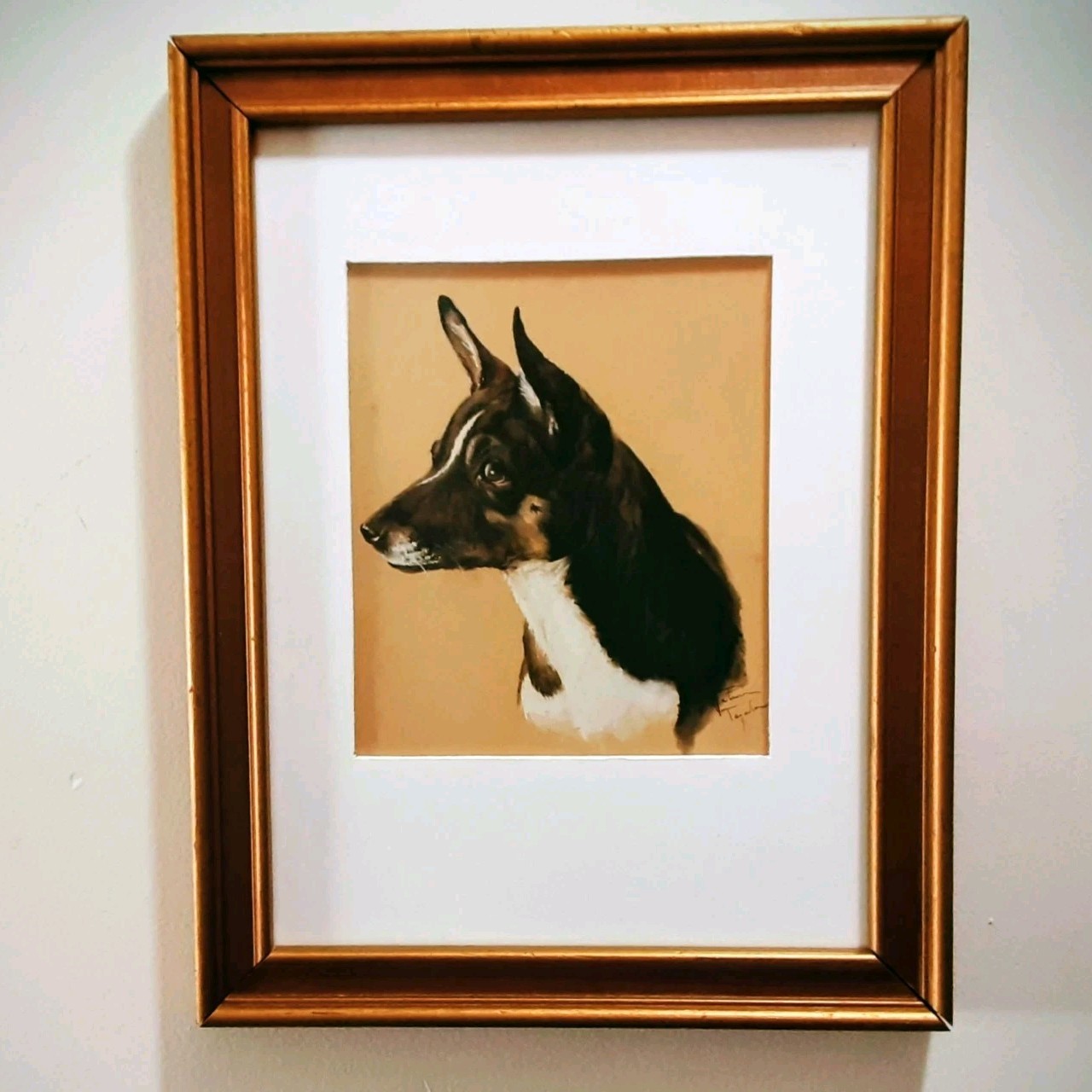 Original Oil Painting Basenji Dog Portrait Sketch Signed Matted Framed 11″×14″