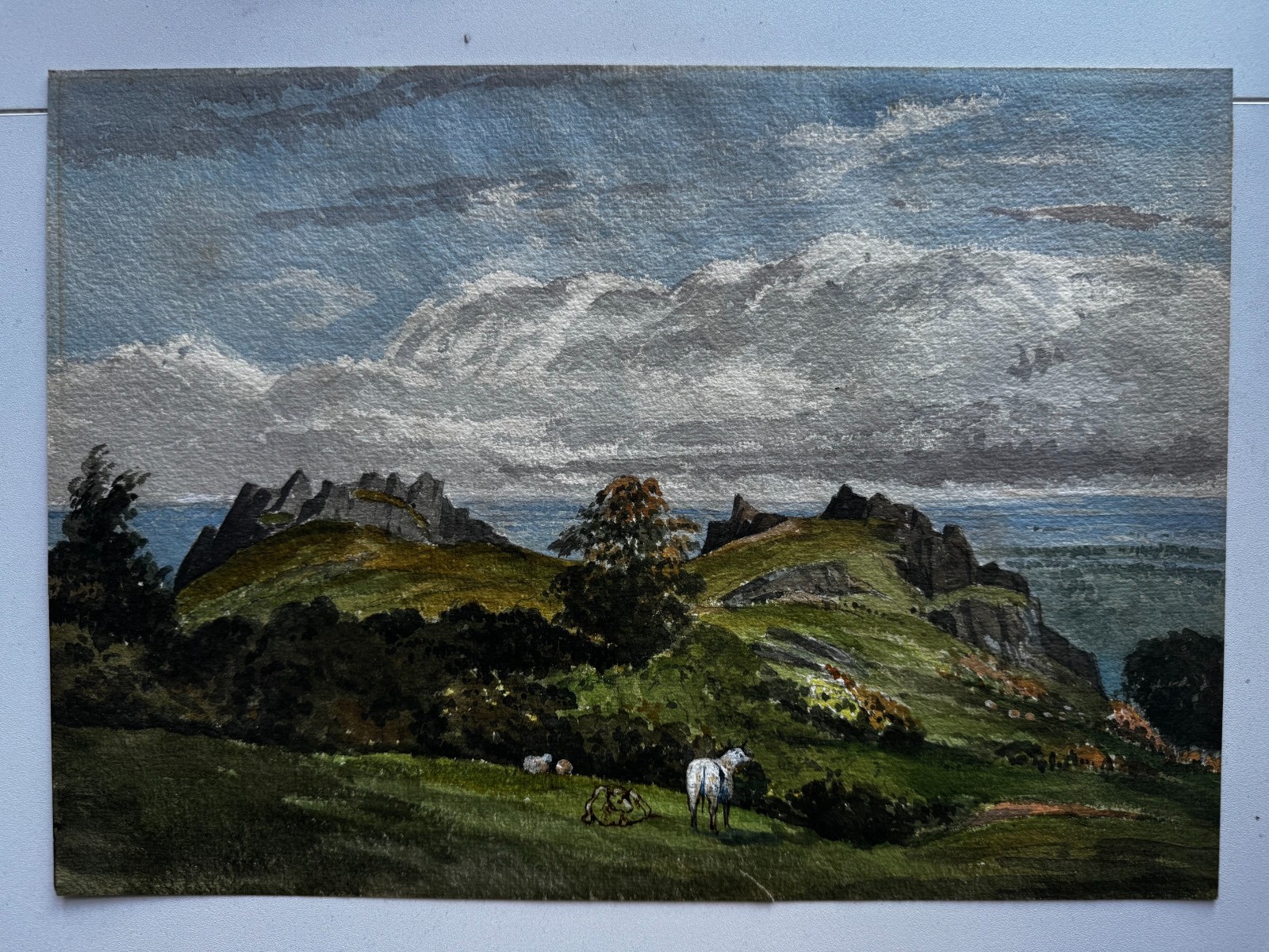 Vintage 19th Century Watercolor Landscape Scenic Painting Cows Meadow Rocky 13×9
