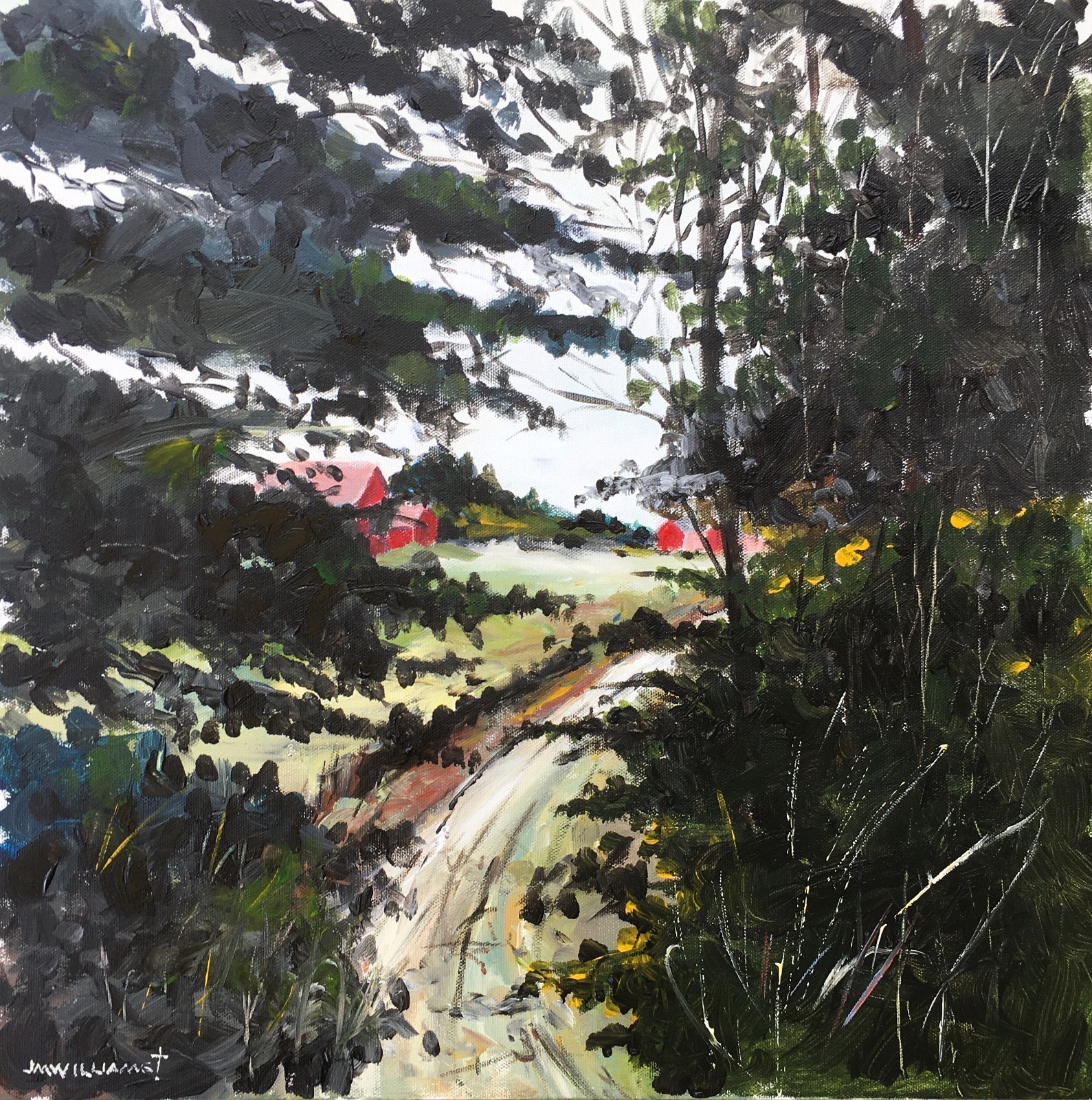 Road Through, Baker’s Island, Maine