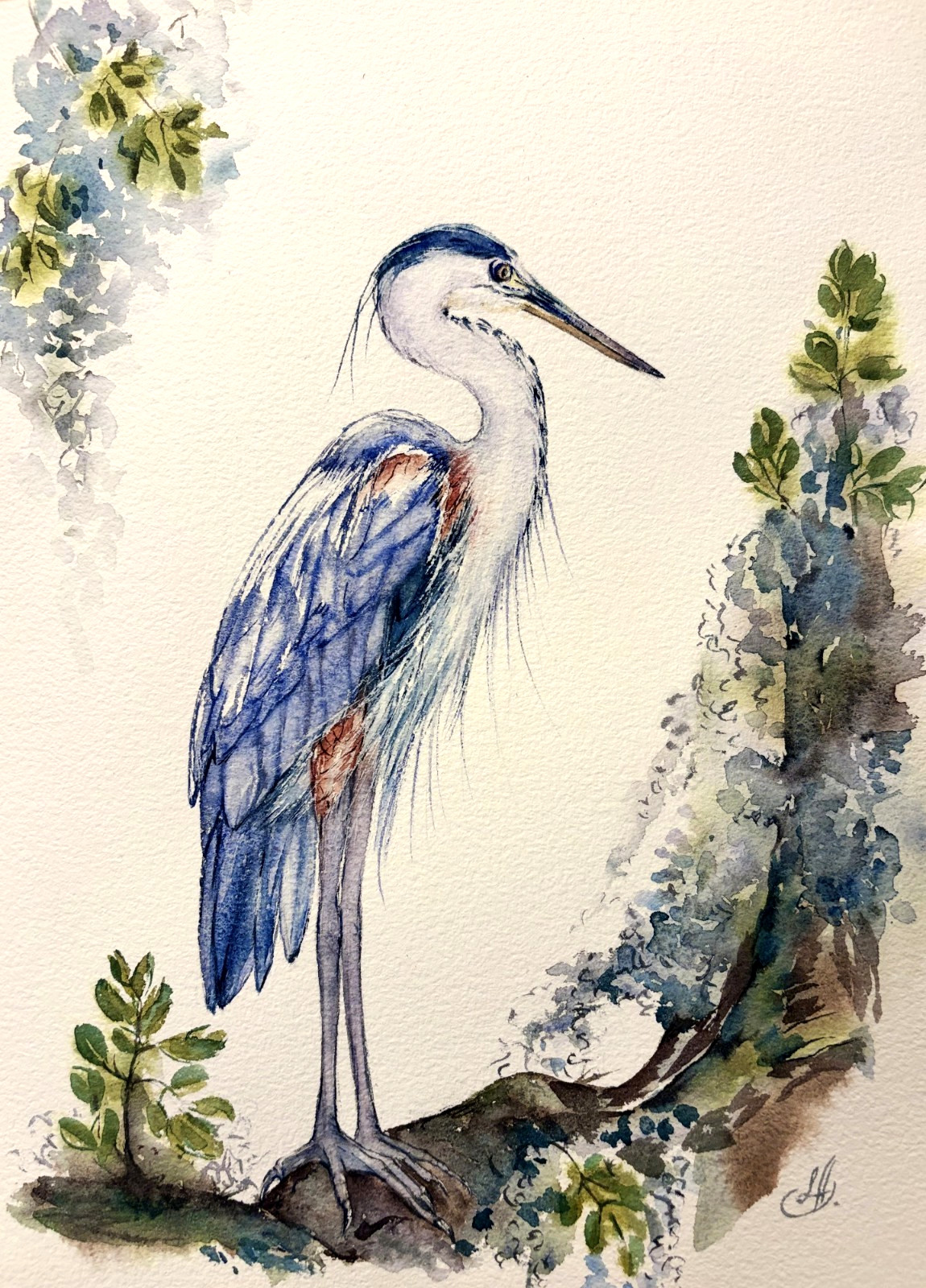Great Blue Heron Bird Among Spanish Moss Original Watercolor Painting Liz Altin