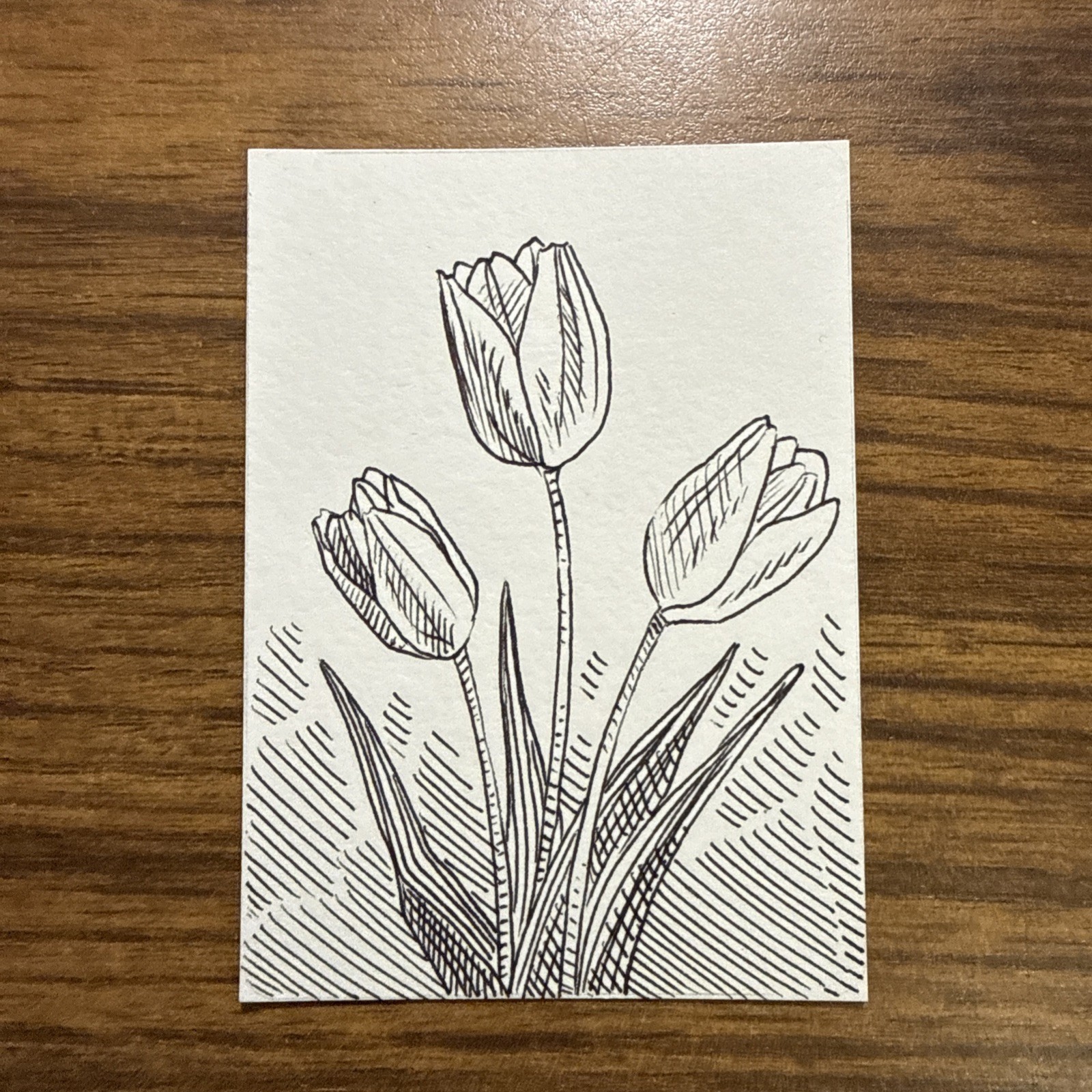 Hand Drawn Tulip Aceo OOAK Original Signed By The Artist