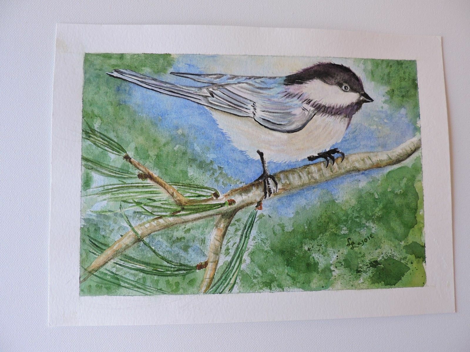 Chickadee on a Branch, Original Watercolor, 8 1/2 x 11 1/2 with 11×14 Gray Mat
