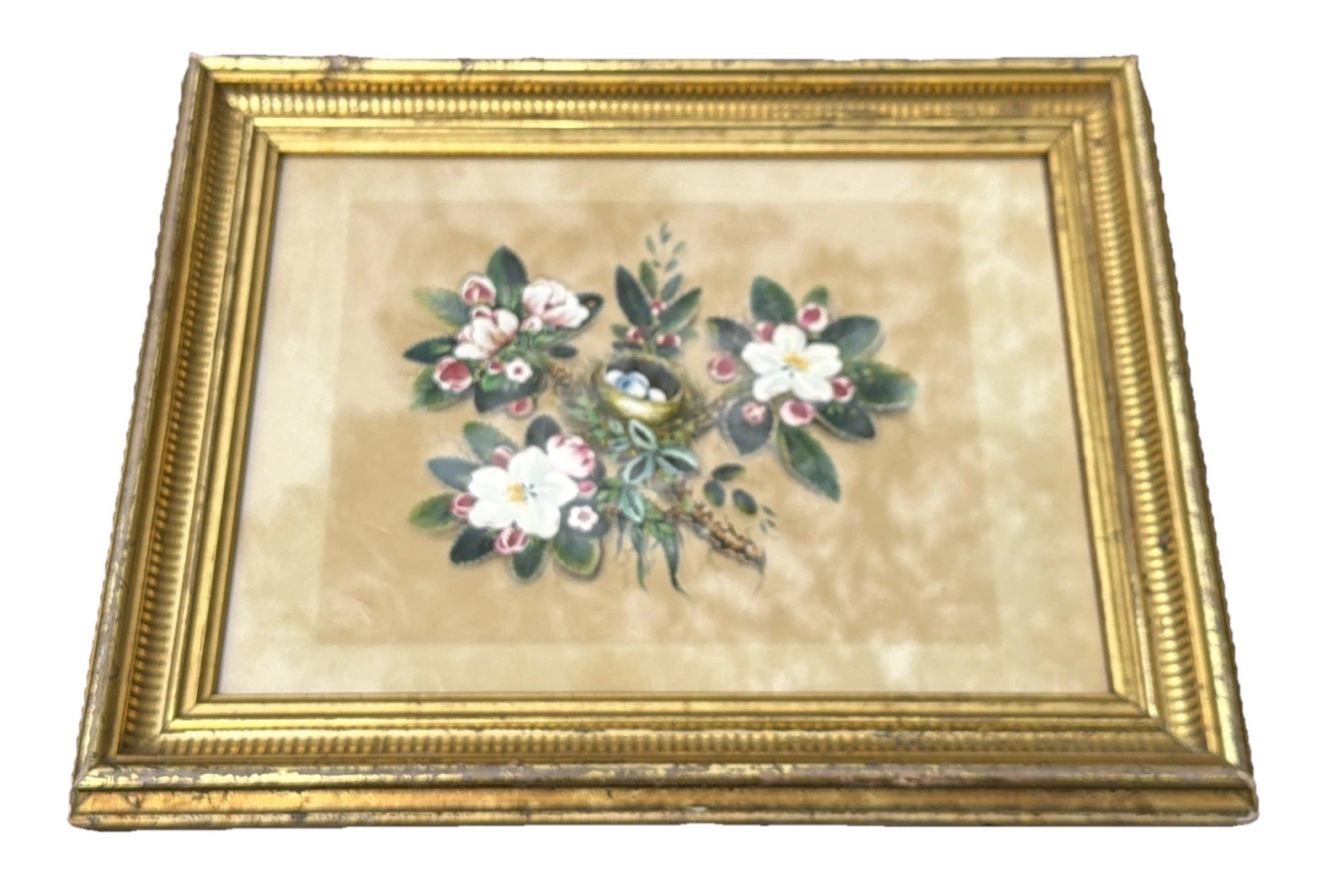 Victorian Botanical Oil & WC Painting On Paper In Gilt Period Frame