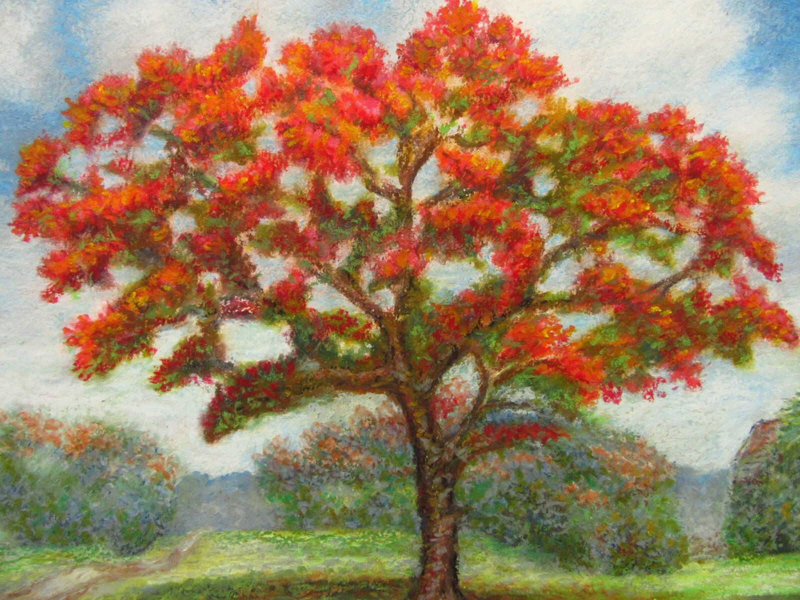 Original Oil Pastel Painting Art Florida Landscape Royal Poinciana Tree Garden