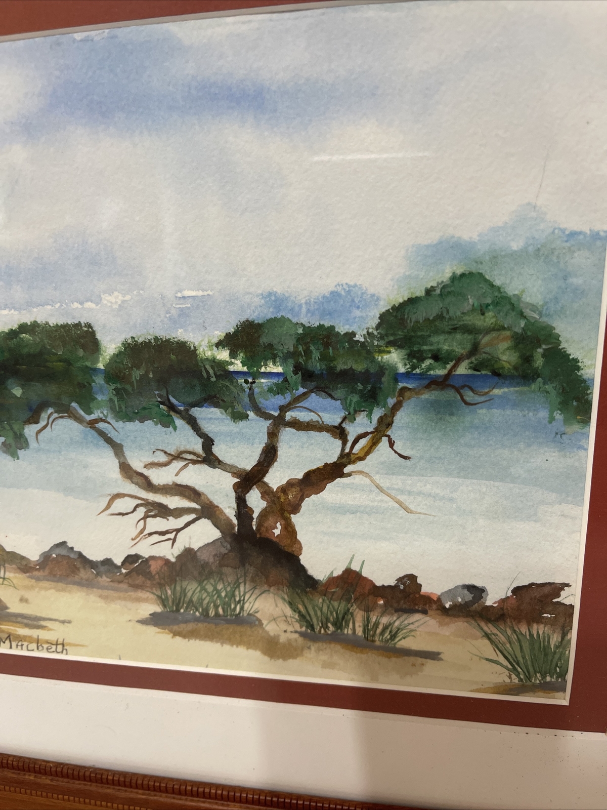 Mangrove Trees Landscape Painting Ocean Florida Coast Signed Framed 16.5×13.5”