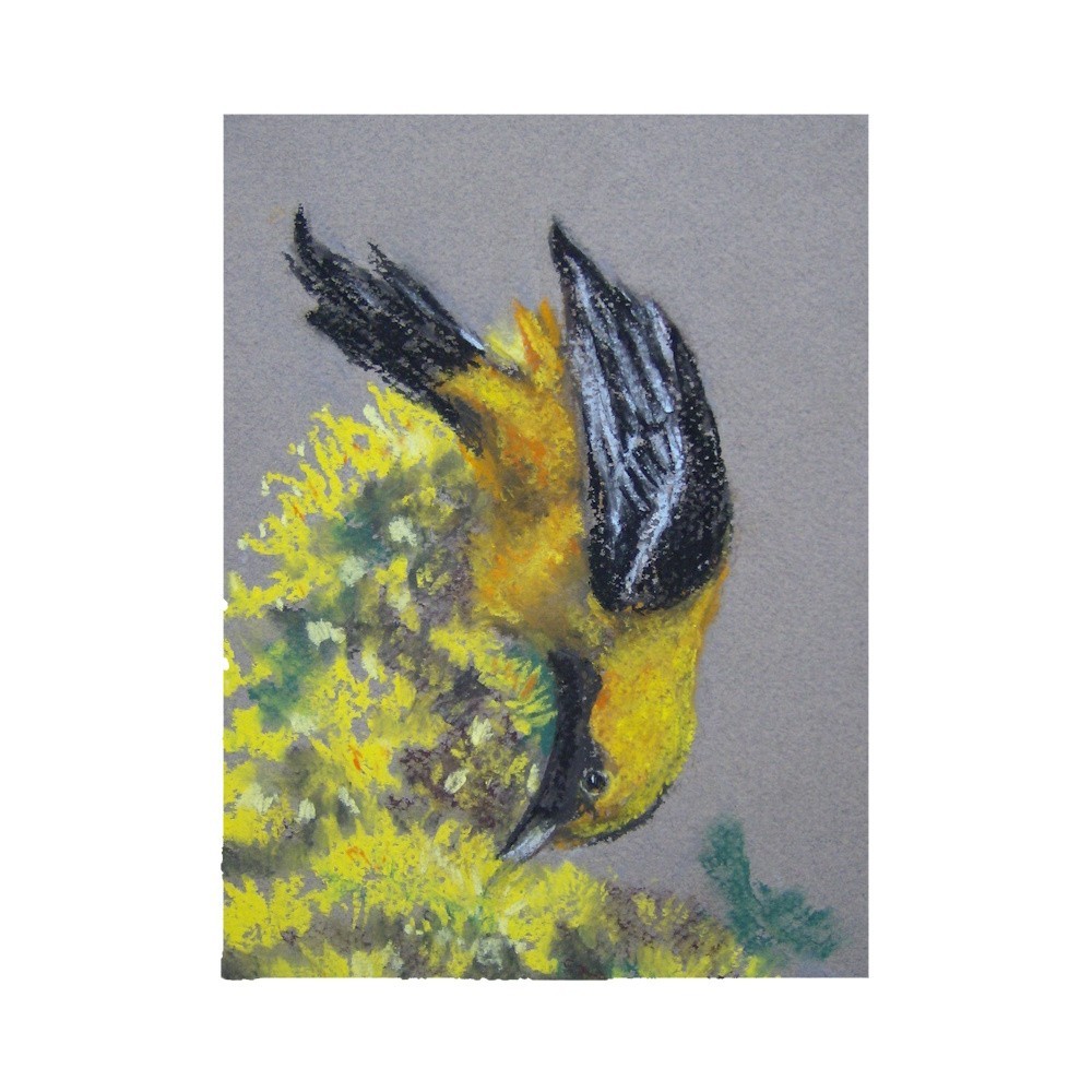 Original Handmade Artwork Oriole and Flowers Pastel Painting on Paper Fine Art