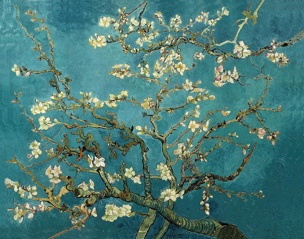 Hand-painted Oil Painting Vincent van Gogh – Almond Blossoms