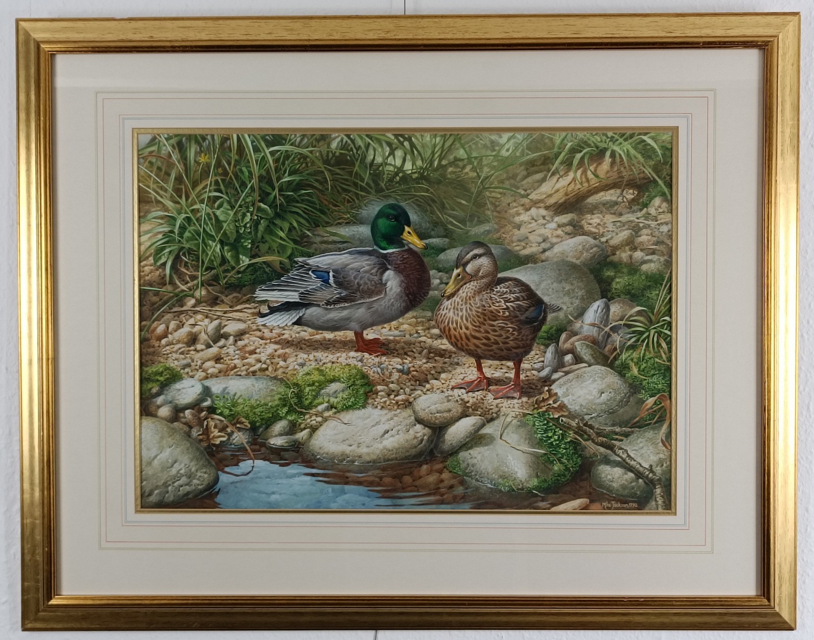 MICHAEL JACKSON (B.1961) ORIGINAL WILDLIFE ART GOUACHE PAINTING «MALLARD DUCKS»