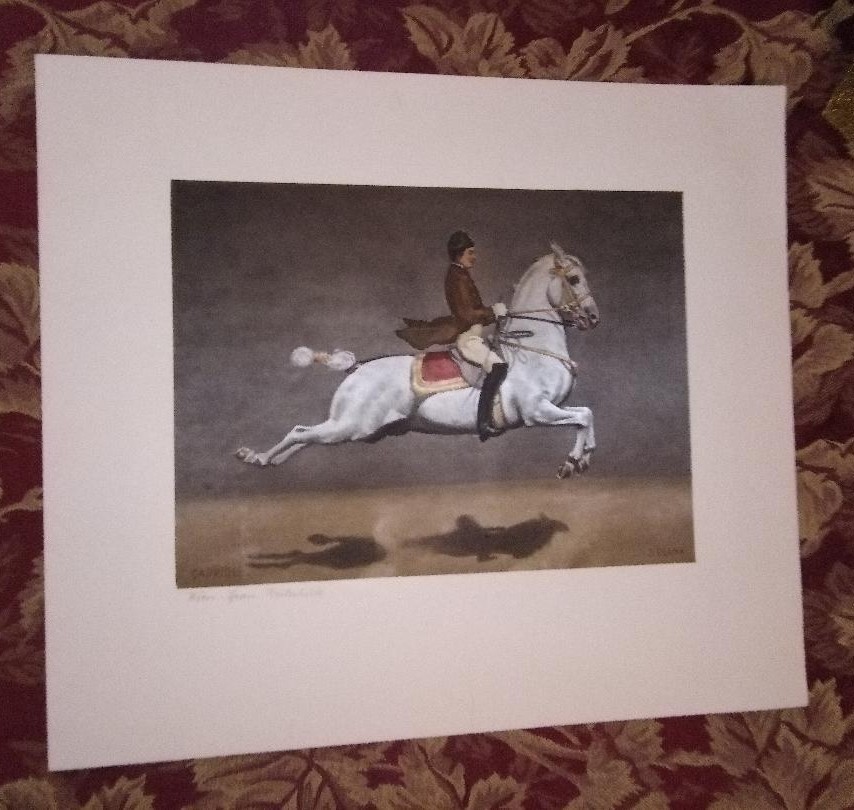 1960s Josef Plank Austrian Spanish Lipizzaner Riding School Silk Lithos Lot of 4
