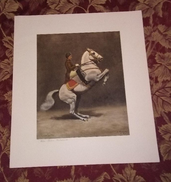 1960s Josef Plank Austrian Spanish Lipizzaner Riding School Silk Lithos Lot of 4