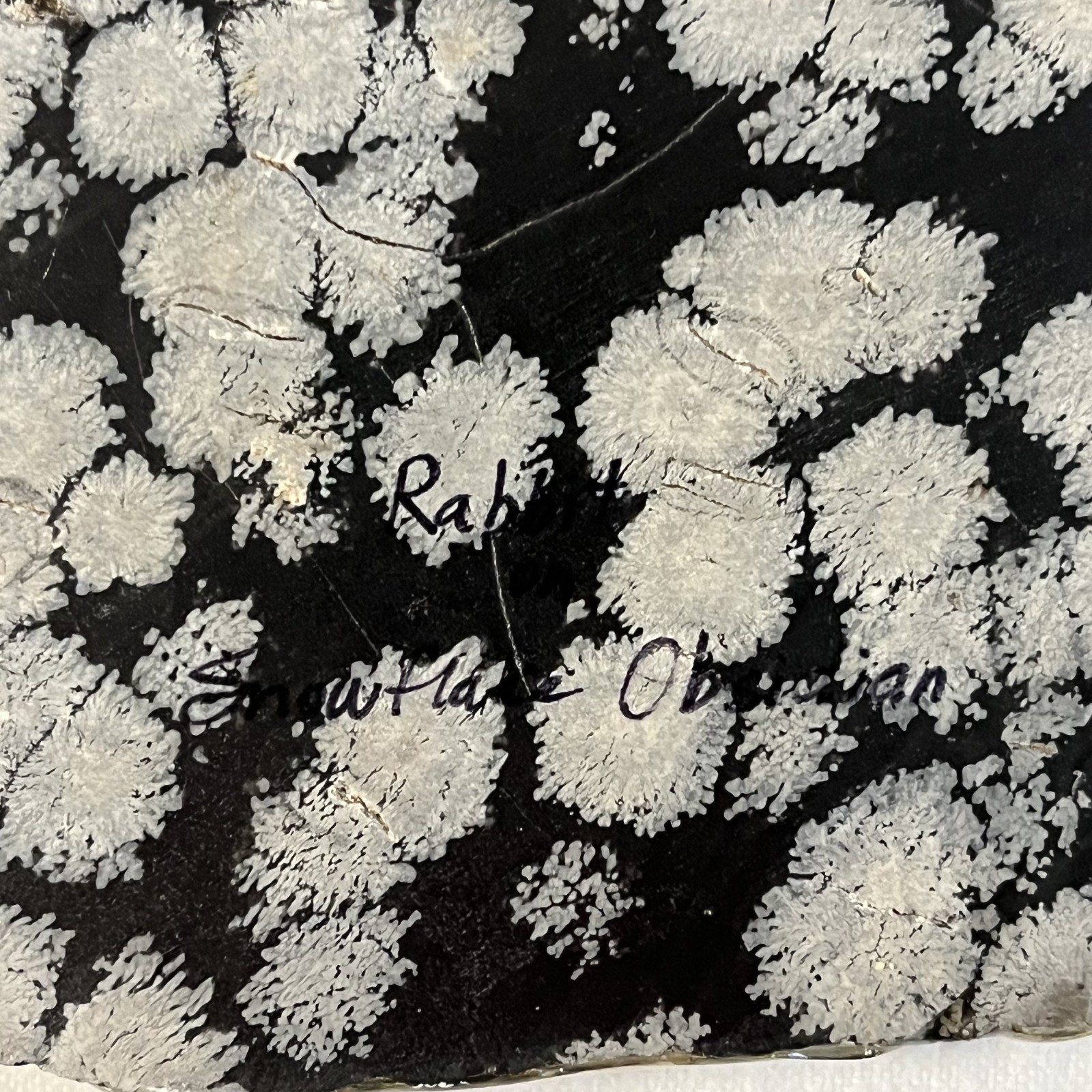 Heather Haynes McGee Painting Rabbit on Snowflake Obsidian