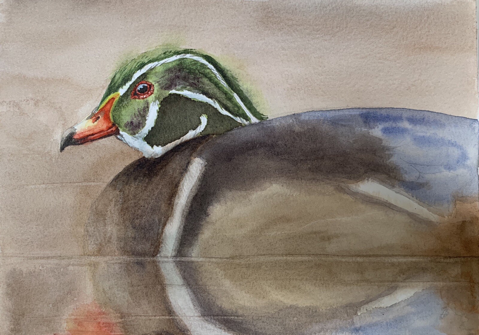 Original watercolor painting Wood Duck bird artwork duck wall art wildlife decor