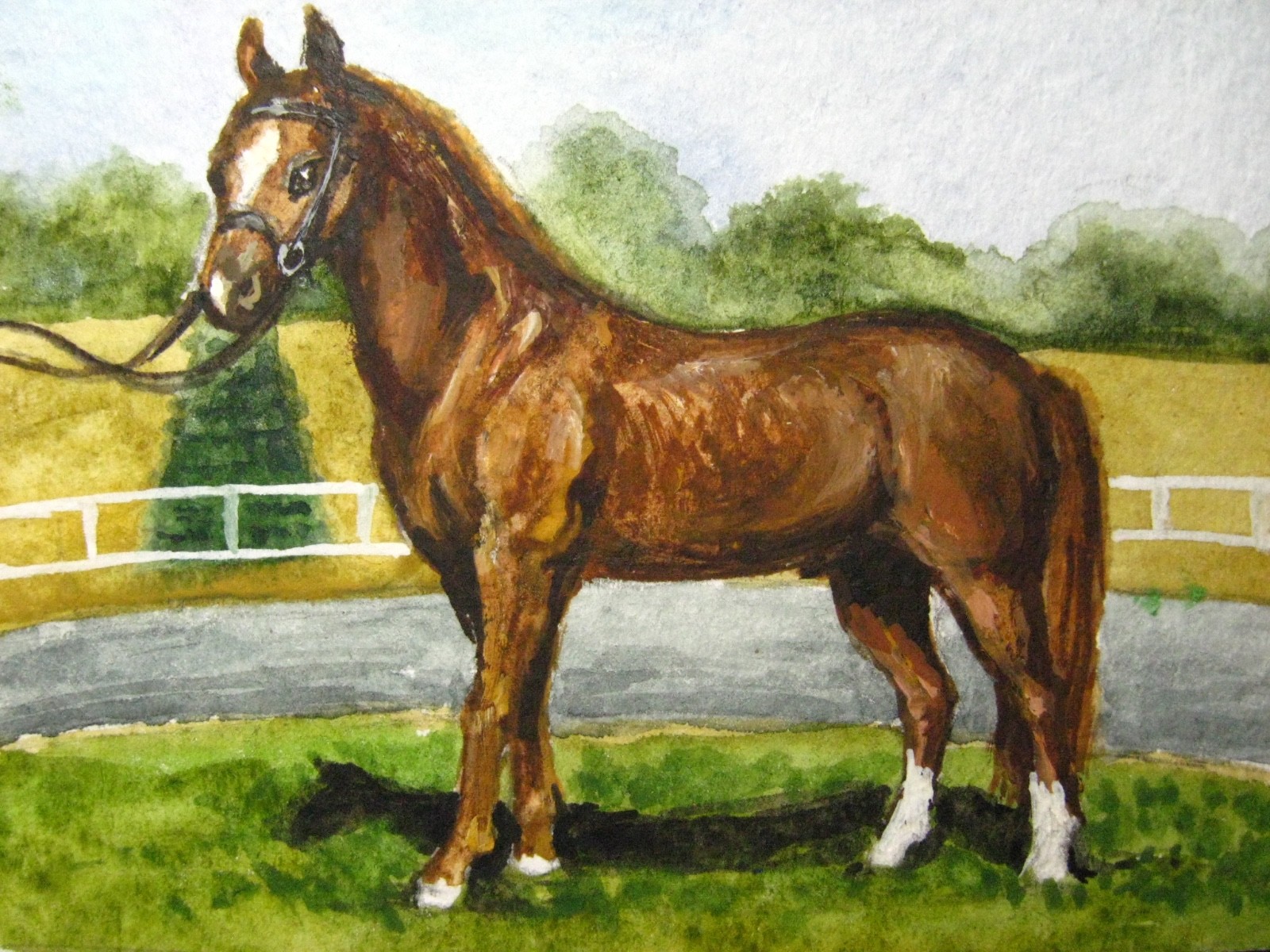Watercolor Painting Brown Horse Farm Animals Nature ACEO Art .