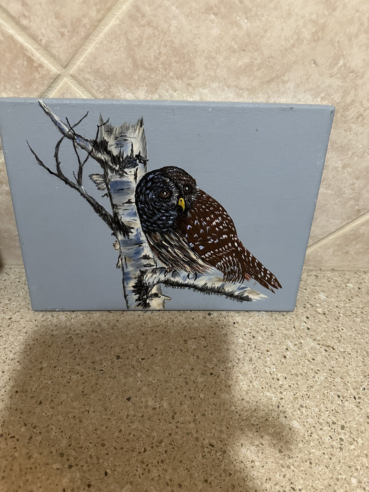 Hand Painted Barred Owl Painting Artist Signed and Dated 9×12 Birds Nature