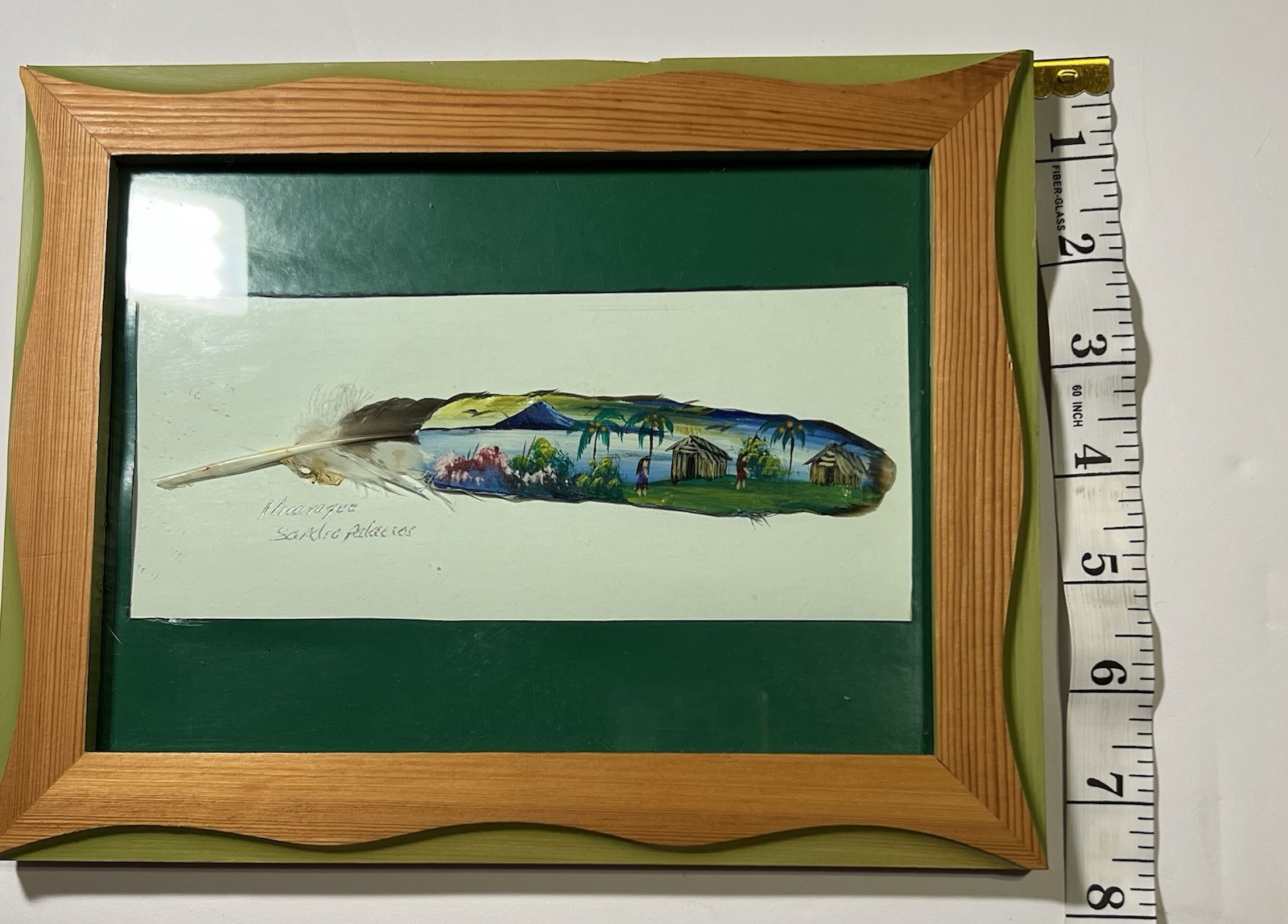 Framed Hand Painted Feather Signed By Artist