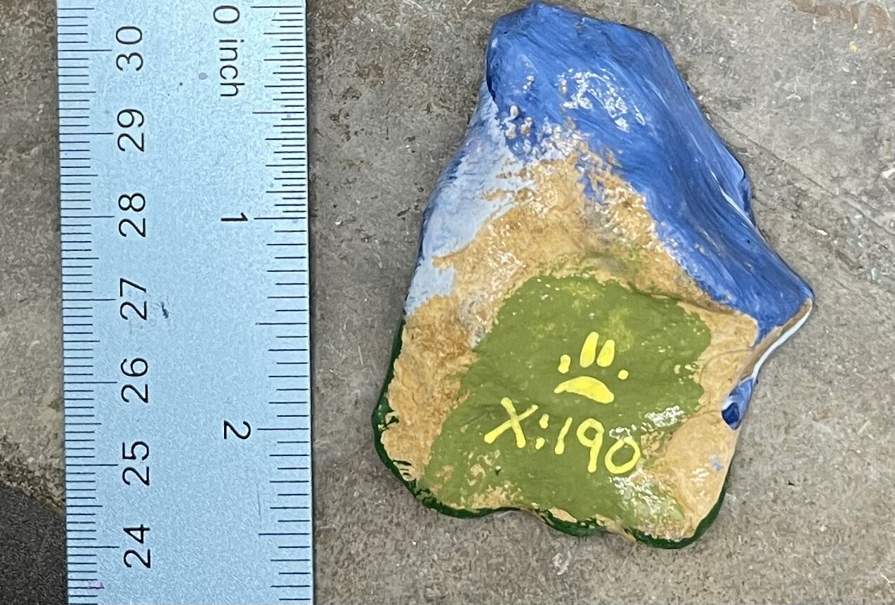 HAND PAINTED RIVER STONE ART » Nature Elf » by Yellow Paw Collectible Rocks