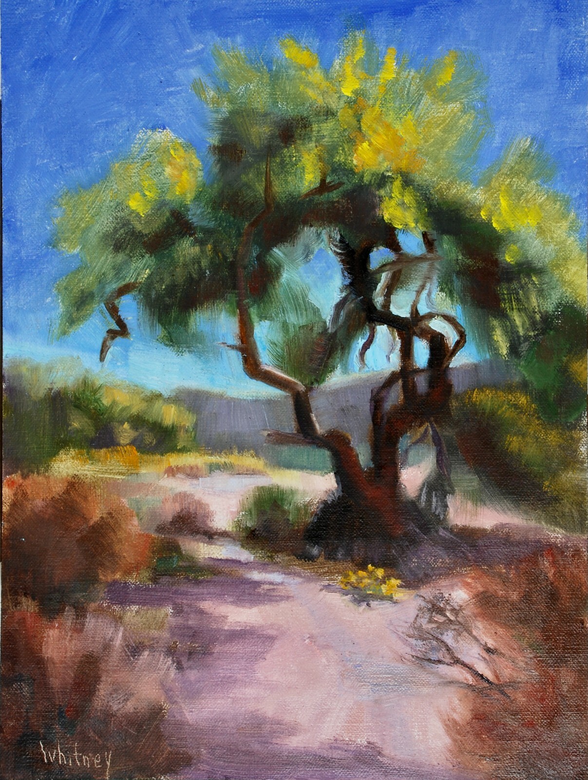 Desert Painting Palos Verdes Western Landscape Arizona Original Oil Sue Whitney