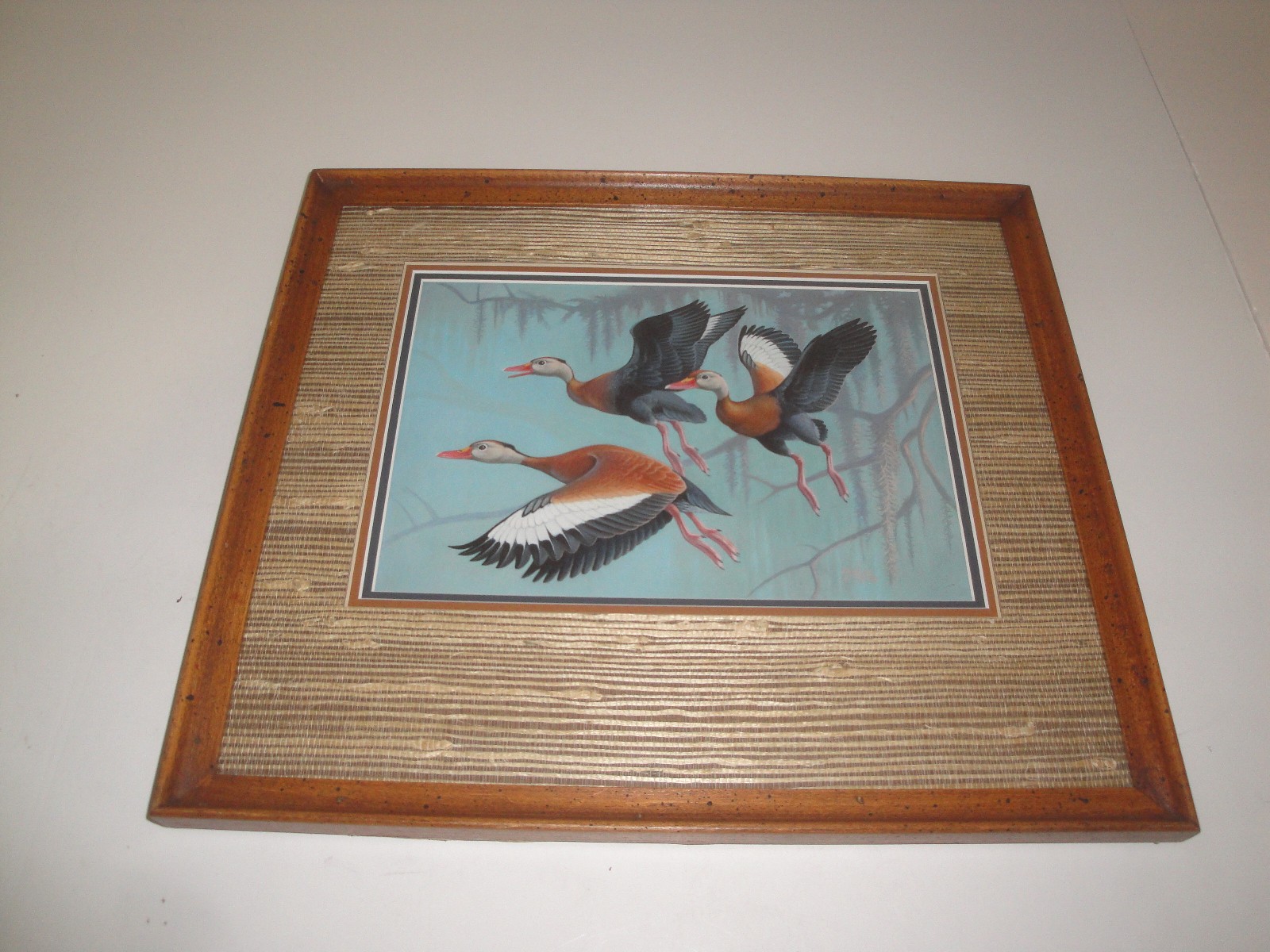 Federal Duck Stamp Winner Ron Jenkins Original Duck Stamp Entry LOOK!