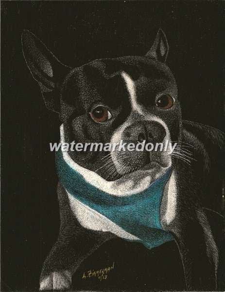 A Boston Terrier, I’m Sure! What do you Say! -Reg Board 8.5″x11″ Scratch Signed