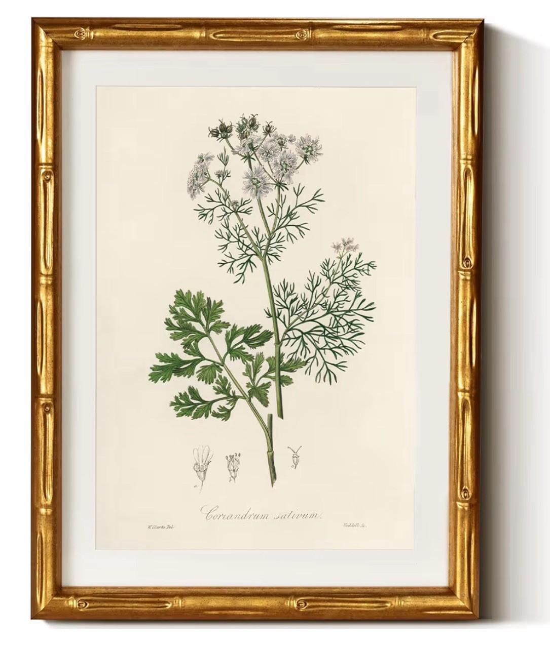 Gold Bamboo Framed Fern Canvas Wall Art – Vintage Botanical Greenery Print 11×14