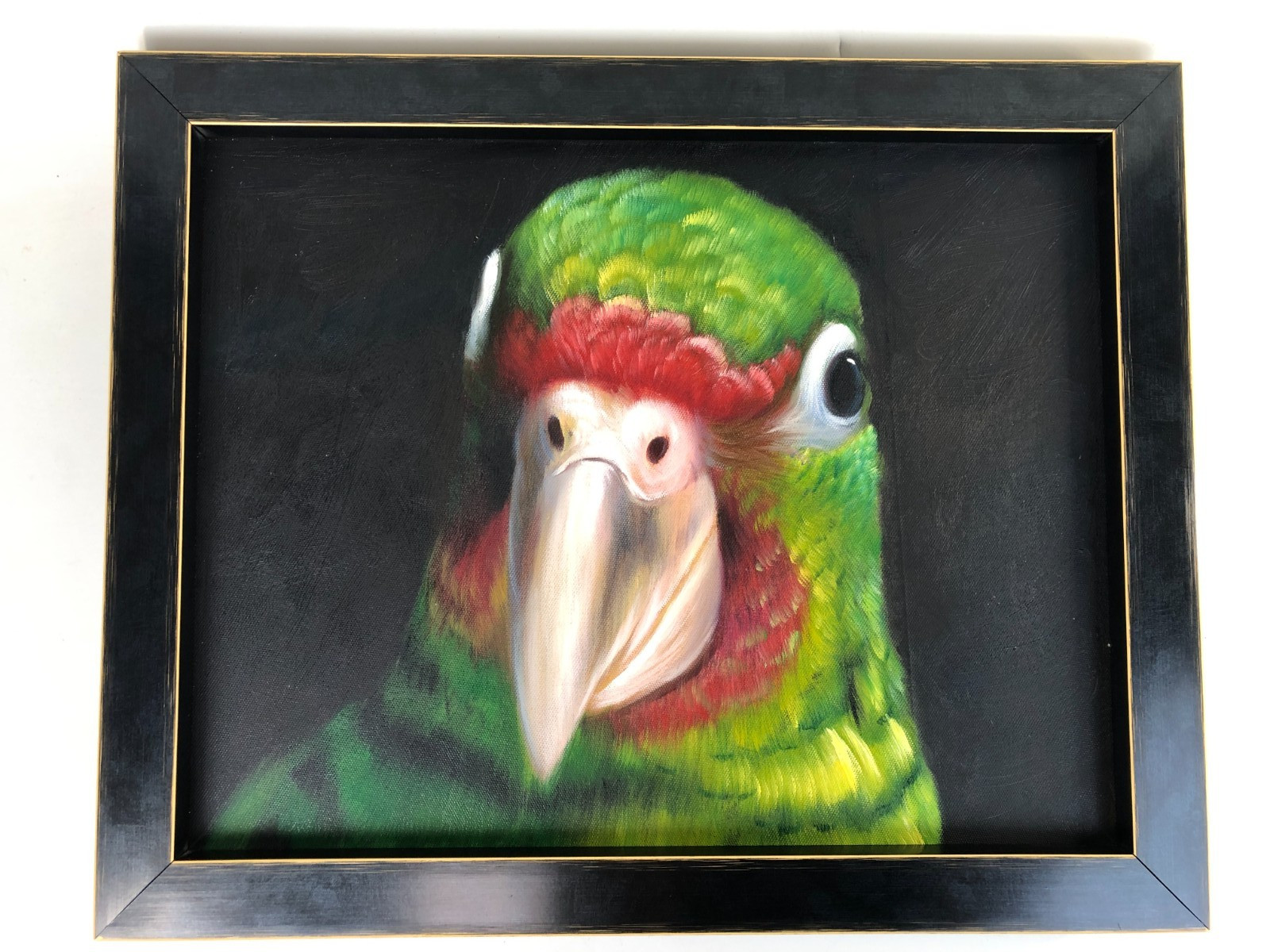 Beautiful Original Oil on Canvas Parrot Head Portrait Framed 14.5×18 in