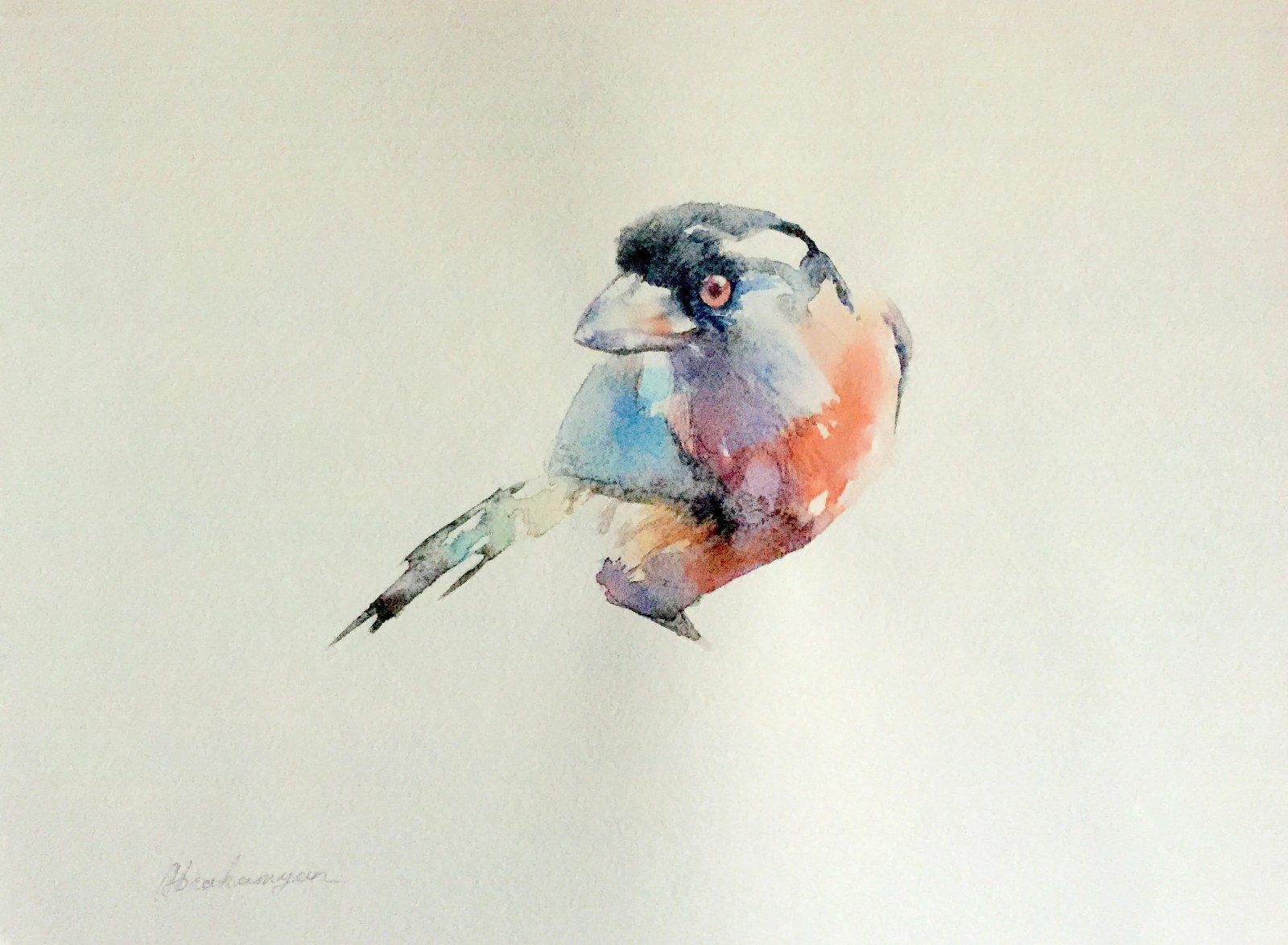 Toucan Barbet, Birds, Watercolor artwork, Handmade, Original painting on paper