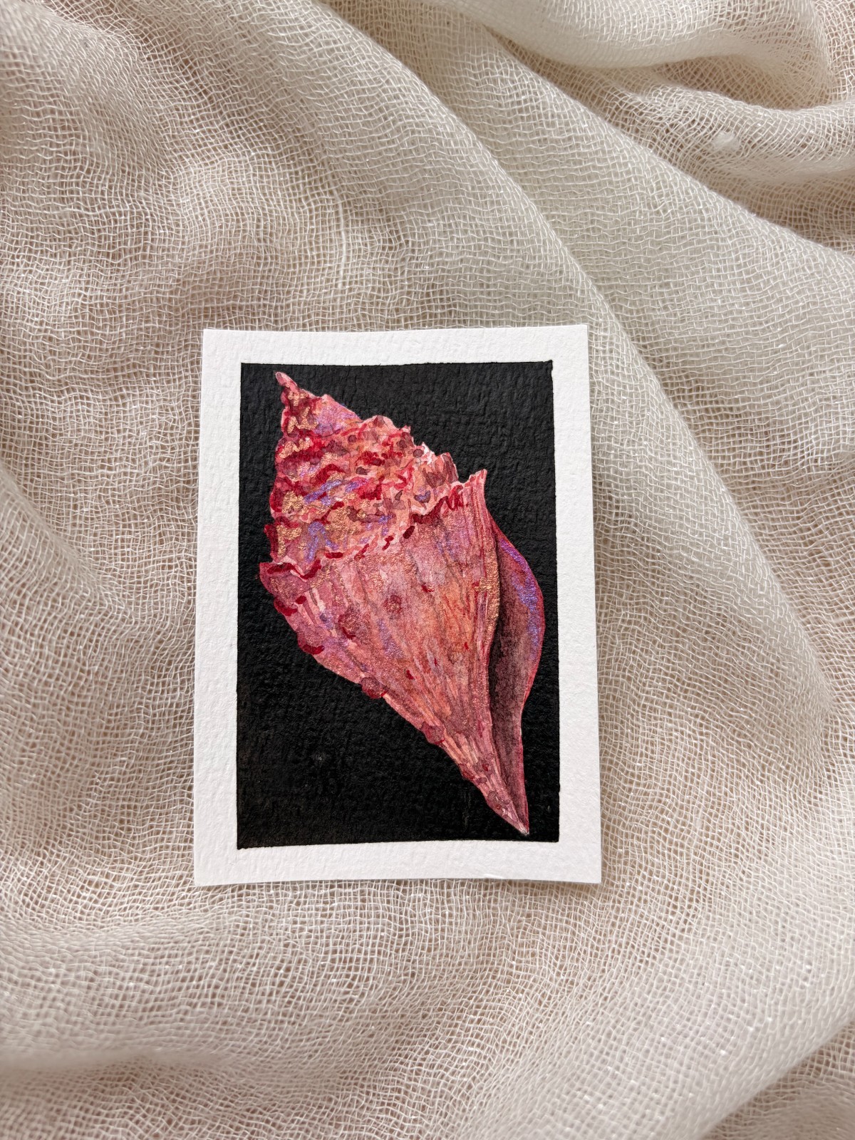 ACEO by Little Art Shop Original Watercolor Painting- Conch Shell- NOT A PRINT!