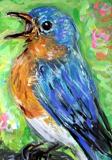 ORIGINAL ACEO PAINTING Eastern BLUEBIRD Spring Blue BIRD Flower Nature ATC ART