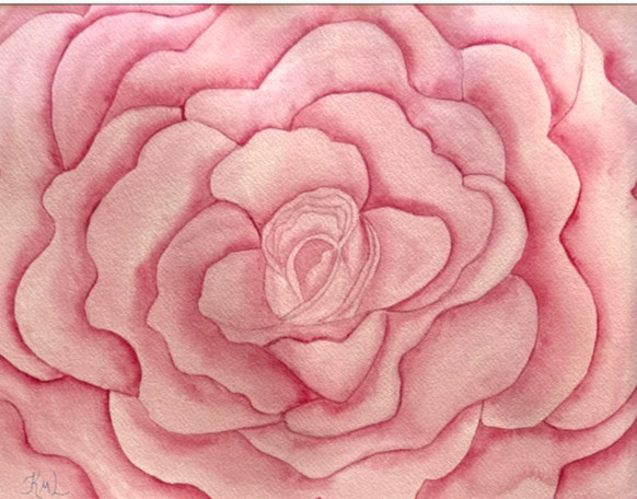 PAINTING WATERCOLOR 11X14 & DOUBLE MAT 16X20 FLOWER ROSE PINK ORIGINAL ART