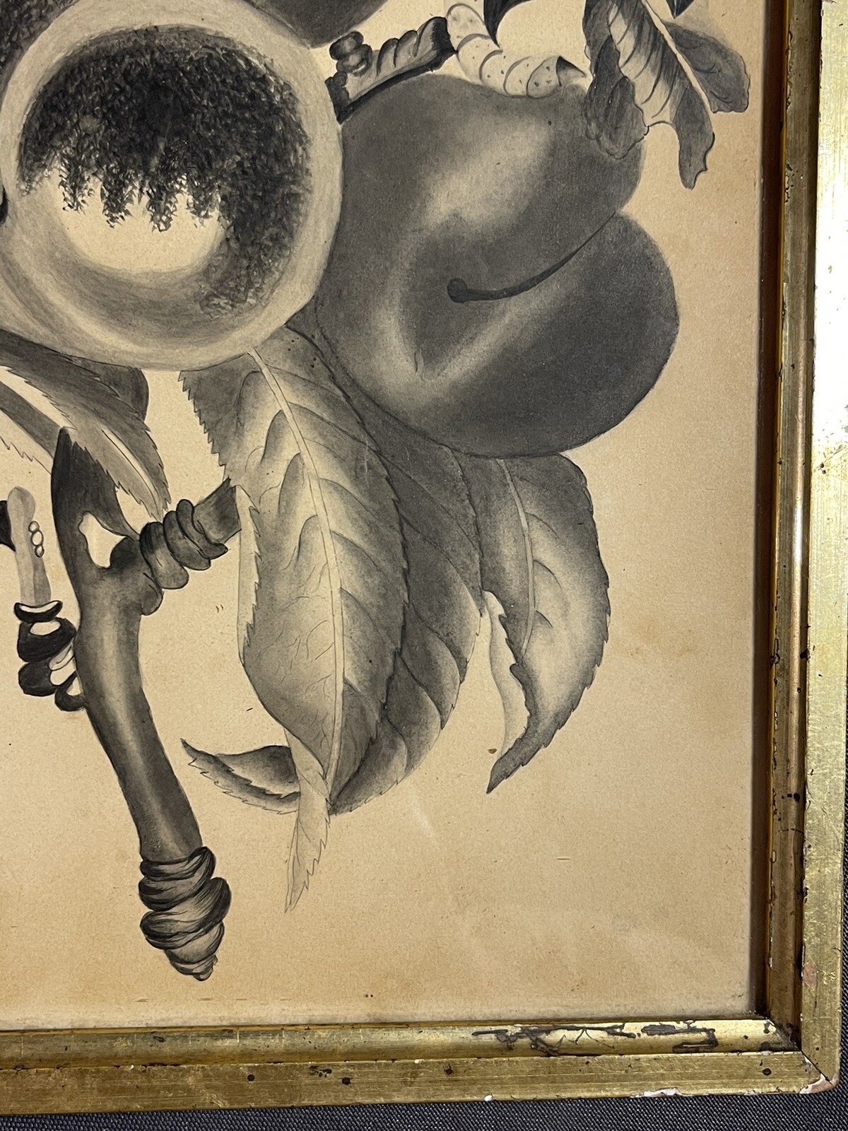 Antique Ink Wash and Watercolor Painting Still Life of Caterpillar on Fruit Tree