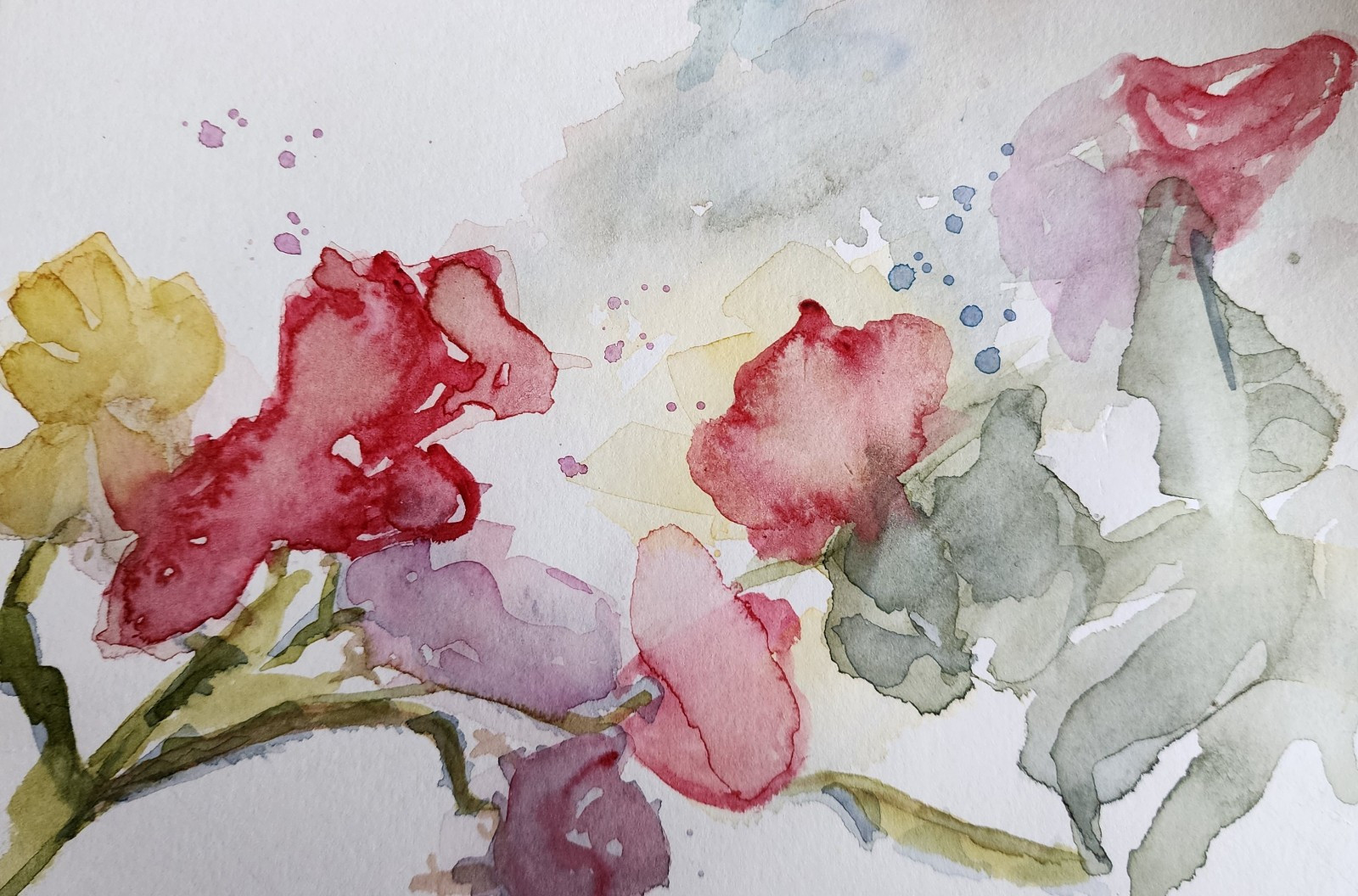 Bougainvillea & Animal Kingdom , Origional Watercolor, Signed, Fleischer