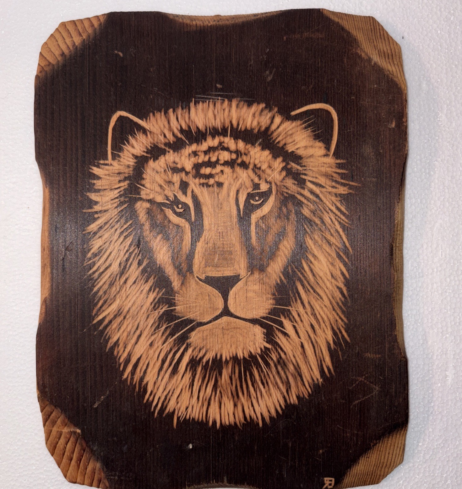 Vintage Handmade Wood Burning Carving Lion art artwork decor  Signed