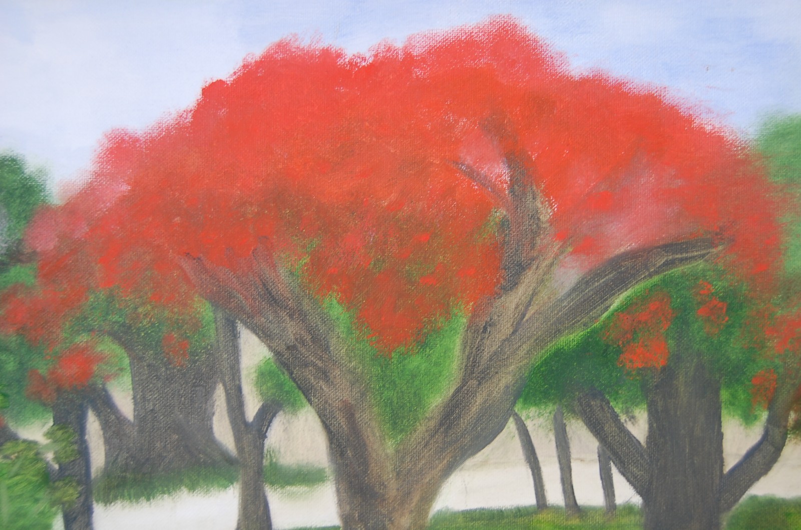 Vtg 80’s Framed Original Oil «Framboyan (Royal Poinciana) Tree Landscape» 20X16