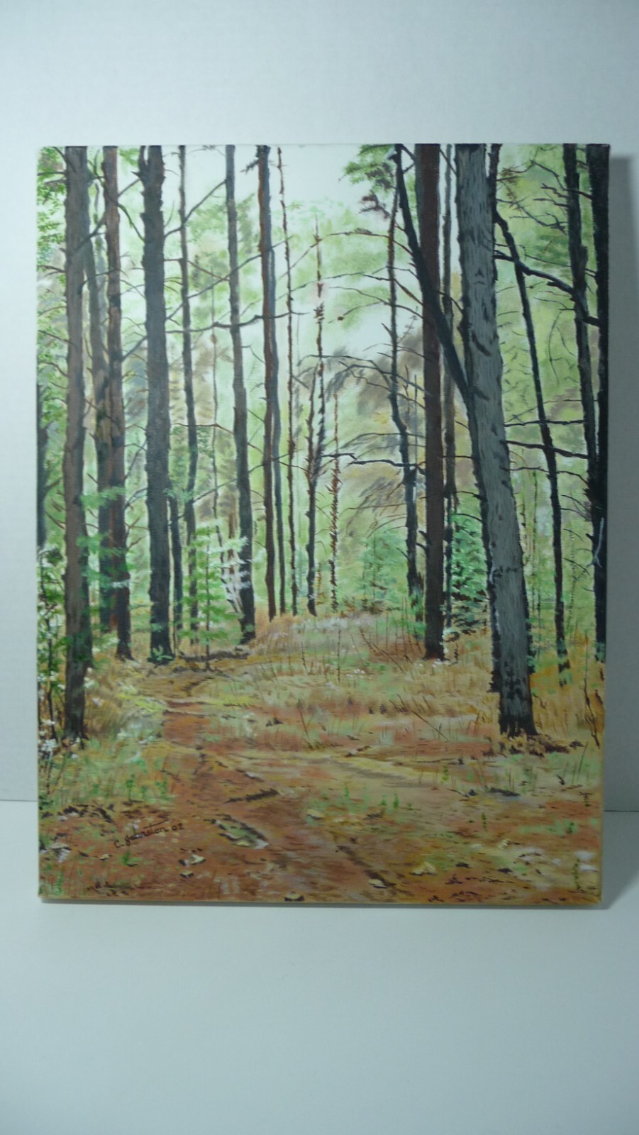 Oil Painting 16×12 Landscape By Catherine Johnston Silence Amongst The Trees 02