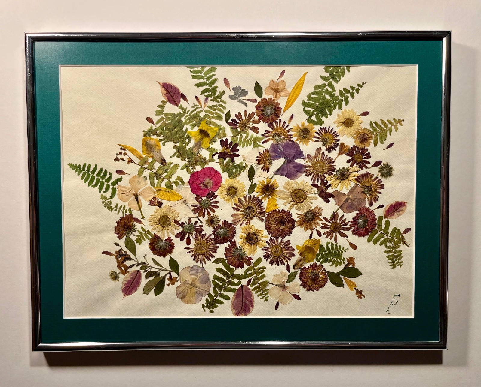 2025 Original Herbarium by Ukrainian Artist SVITLANA SHAPOVALOVA 17″ x 13″