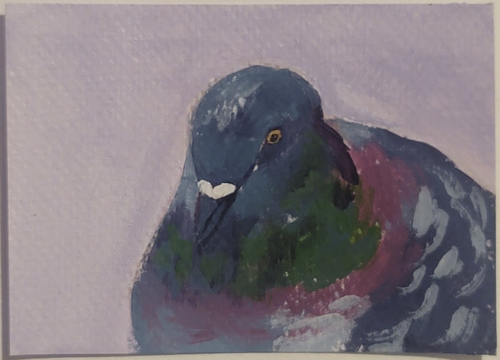 ACEO Original Abstract Animal Pigeon Bird Mini Art Painting Wildlife Animals