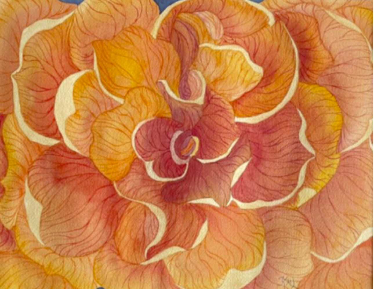 PAINTING WATERCOLOR 11X14 AND DOUBLE WHITE MAT 16X20 FLOWER BEGONIA ORANGE CORAL