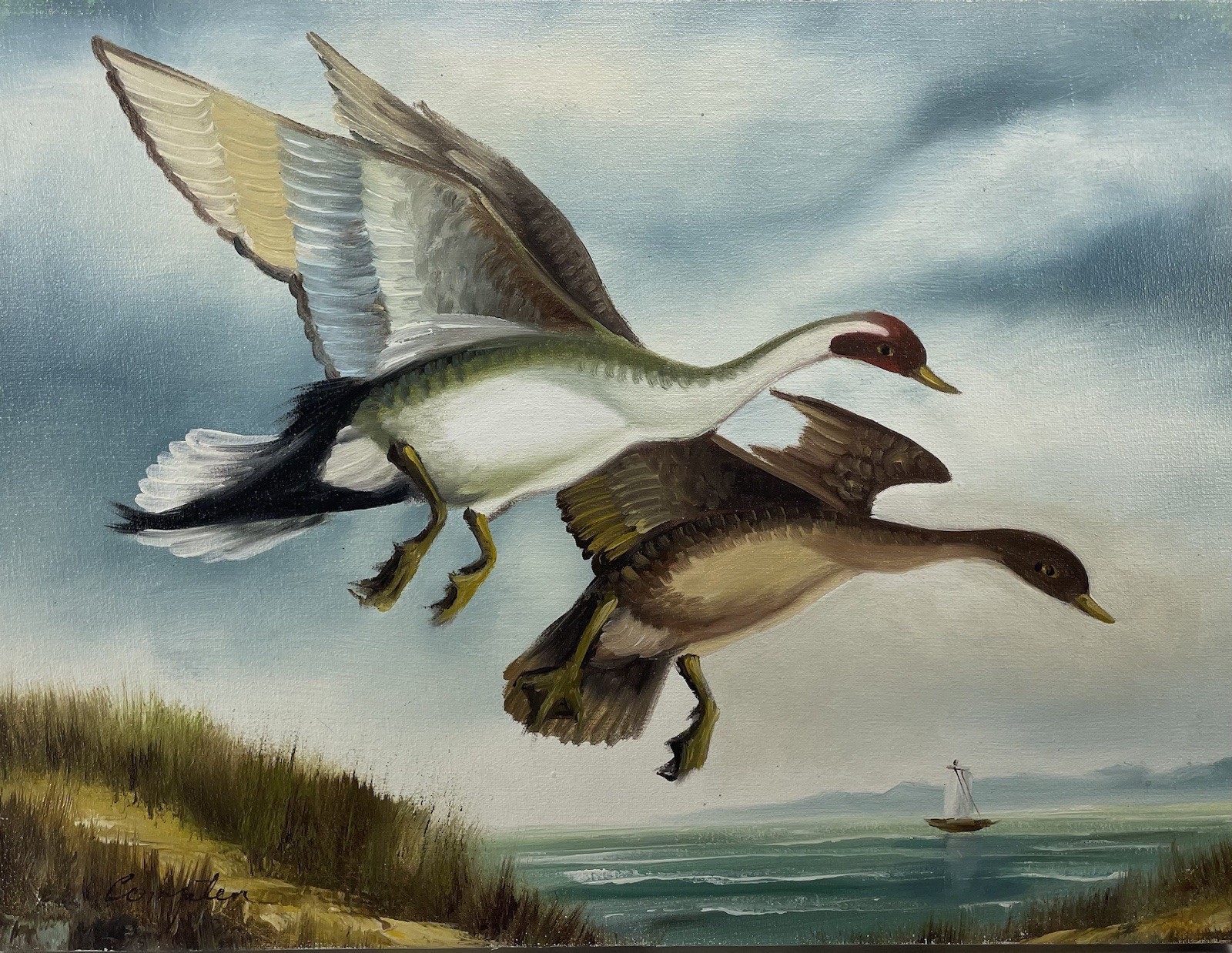 DUCKS Flying on Beach. Oil Painting On Canvas 12×16 Signed Compten