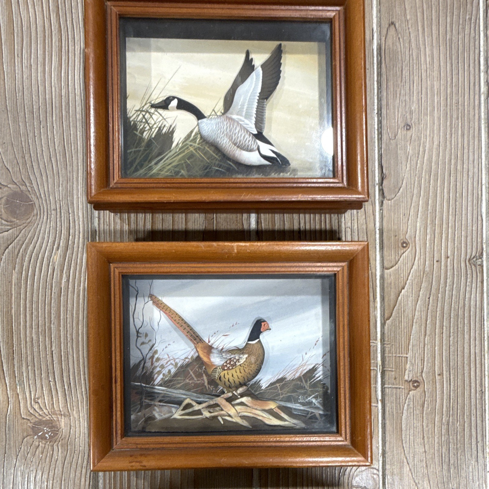 Vintage Joseph Q Whipple 3D Shadow Box Pair Pheasant Canada Goose Art Diorama