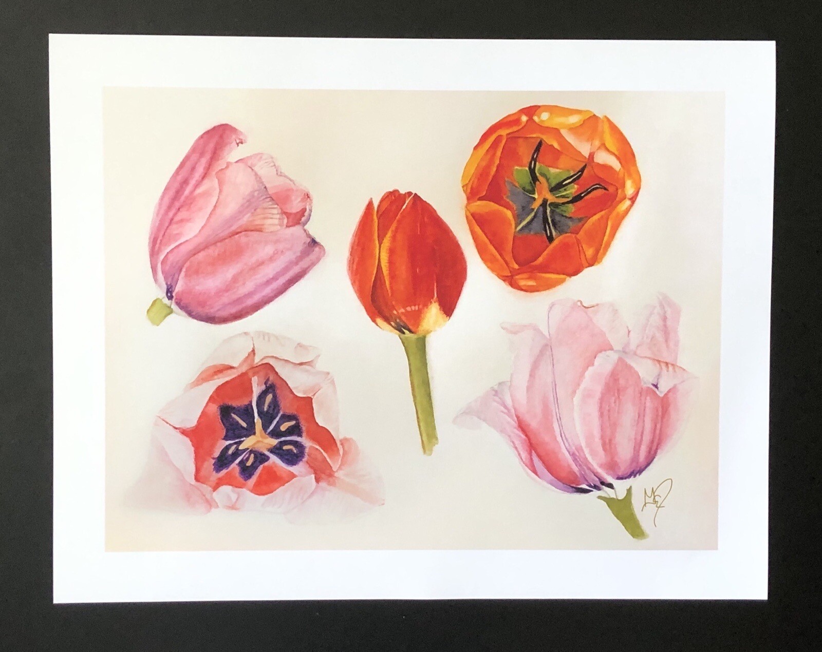 Tulip Art Print -makes A Great Mother’s Day Card/gift