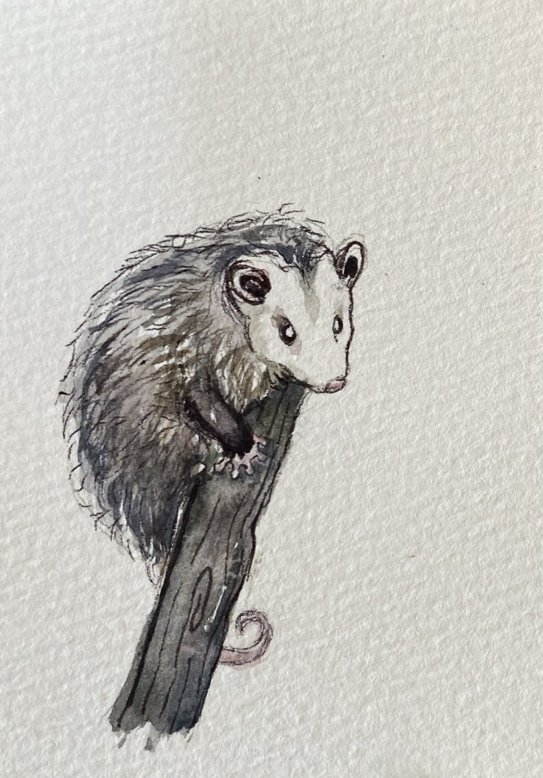 ACEO Original Mixed Media Painting Art Opossum